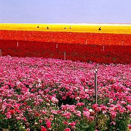 港服PS Plus会员10月会免公布 《木卫四协议》领衔