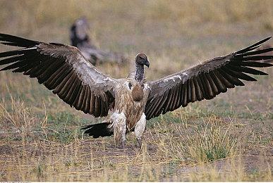 《无主之地4》新预告 聚焦人气角色“小吵闹”